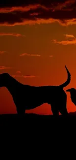 Silhouette of a cyclist and animals against an orange sunset sky.