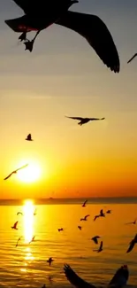 Birds in silhouette against a sunset over the ocean, creating a serene ambiance.