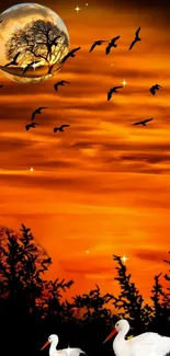 Sunset sky with birds and moon reflection.