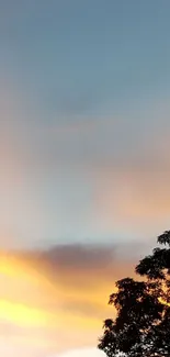 Sunset sky with silhouette of trees in foreground.