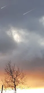 Moody sunset sky with silhouetted trees and gray clouds.