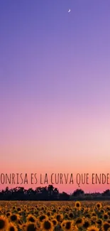 Purple sunset over a sunflower field wallpaper.