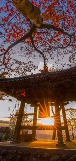 Sunset shines through a temple surrounded by autumn leaves.