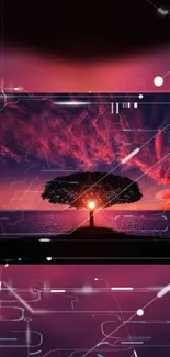 Abstract sunset wallpaper with tree silhouette and digital elements.