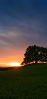 Scenic sunset with a lone tree and dark sky on a mobile wallpaper.