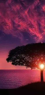 Silhouette of a tree against a vibrant purple sunset over the ocean.