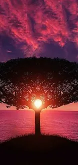 Silhouette of a tree against a vibrant purple sunset sky.