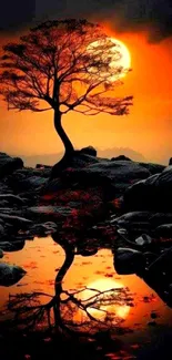 Lone tree reflected in water at sunset with orange sky.