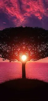 Mobile wallpaper of a tree silhouette against a vibrant sunset over the ocean.