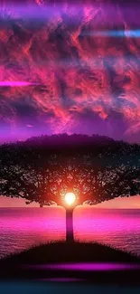 Silhouette of a tree at sunset with vibrant purple and red sky.