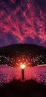 Silhouette of a tree against a vibrant sunset sky.