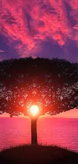 Silhouette of a tree with a glowing sunset sky.