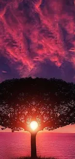 Vibrant sunset with tree silhouette against pink and purple sky.