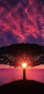 Silhouette of a tree at sunset with purple and pink sky.