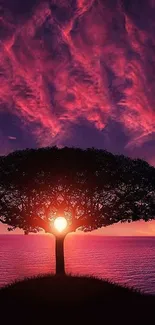 Silhouette of a tree at sunset with vibrant pink and purple sky over the ocean.