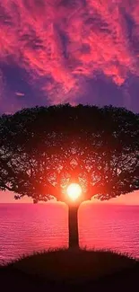 Tree silhouette at sunset with vibrant red sky.