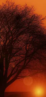 Silhouette of a tree against an orange sunset background.