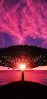 Silhouetted tree with pink sunset sky and ocean scene.