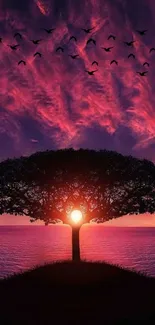 Vibrant sunset behind tree silhouette on mobile wallpaper.