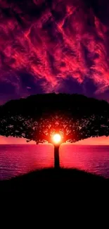 Silhouette of a tree against a vibrant crimson sunset sky on a mobile wallpaper.