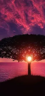 Tree silhouette against vibrant sunset sky with deep purple hues.