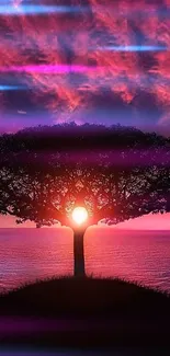 Silhouette of a tree at sunset over the ocean with vibrant purple and pink sky.