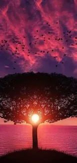 Silhouette of a tree against a pink sunset sky with flying birds.