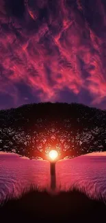 Majestic tree silhouette with a sunset sky background for mobile wallpaper.