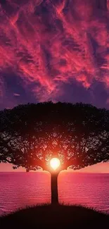 Silhouette of a tree against a vibrant pink sunset sky.