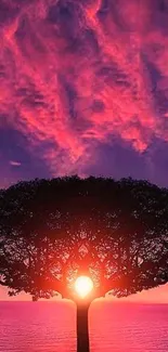 Tree silhouette at sunset with a pink and purple sky, perfect for mobile wallpaper.