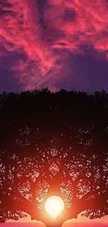 Silhouette of a tree with a vibrant purple sunset background.