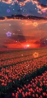 Vibrant tulip field at sunset with glowing stars.