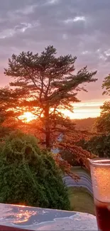 Calming sunset with trees and drink.