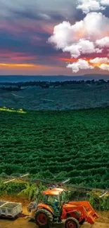 Tractor in a vineyard under a vivid sunset sky.