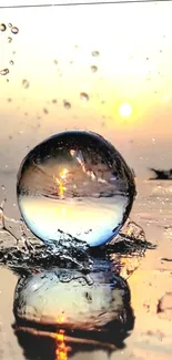 Sunset reflecting in a water sphere on a tranquil surface.