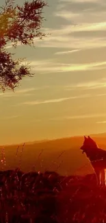 Silhouette of a wolf in a sunset wilderness scene with vibrant orange sky.