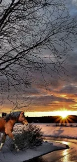 A horse standing by a snowy river at sunset with a dramatic winter sky.