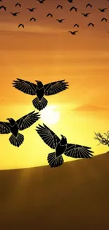 Silhouetted birds against a golden sunset.