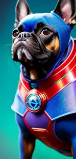 French Bulldog in superhero costume with vibrant blue and red colors.