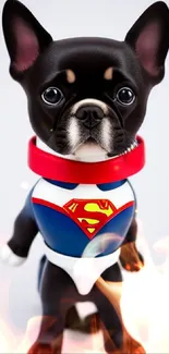 Adorable puppy in superhero costume wallpaper.