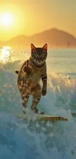Cat surfing waves at sunset in vibrant wallpaper.