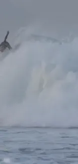 Surfer riding a large ocean wave in dynamic action.