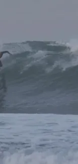 A surfer skillfully rides a large ocean wave.