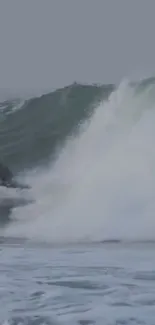 Surfer navigating powerful ocean waves gracefully.