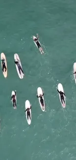 Aerial view of surfers on turquoise ocean waves.