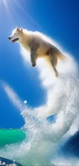 Dog surfing through a brilliant blue sky and ocean waves.