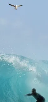 Surfer rides a turquoise wave with a seagull soaring above.