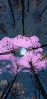 Pink clouded sky visible through tall trees at night.