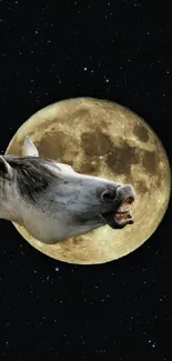 Horse emerging from full moon against a starry black sky.