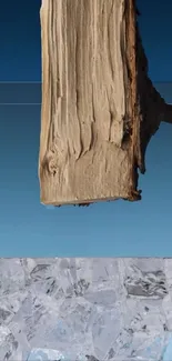Surreal landscape with wood and icy surface.
